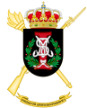 II-1st Army Health Support Unit, Spanish Army.png
