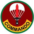 Parachute-Commando Brigade, Bangladesh Army.jpg