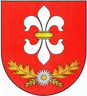 Coat of arms (crest) of Baligród