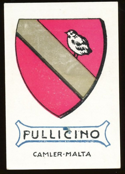 File:Pullicino.cam.jpg