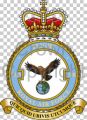No 1310 Flight, Royal Air Force.jpg