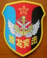 Flood Dragon Commando Unit, PLA Navy Marines.jpg