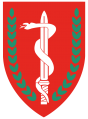 Medical Corps, Israeli Ground Forces3.png