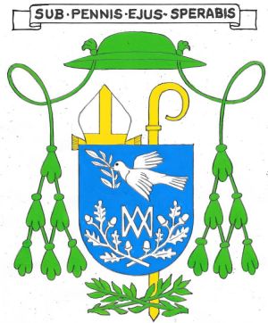 Arms of Aloys Elloy