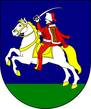Arms of Ján Ivankovič