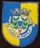 Brasão de Glória do Ribatejo/Arms (crest) of Glória do RibatejoThe arms on a textile patch
