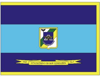Arms of Special Air Transport Group, Brazilian Air Force