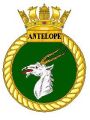 HMS Antelope, Royal Navy.jpg