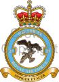 No 29 Squadron, Royal Air Force.jpg