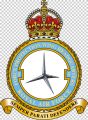 No 5 Force Protection Wing, Royal Air Force1.jpg