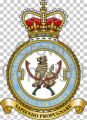 No 8 Force Protection Wing, Royal Air Force.jpg