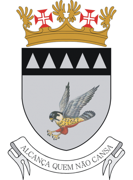 File:Air Force Base No 5, Leiria, Portuguese Air Force.png