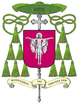 Arms of Artur Miziński