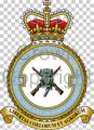 No 2503 (County of Lincoln) Squadron, Royal Auxiliary Air Force Regiment.jpg