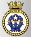 HMS Salisbury, Royal Navy.jpg