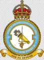 No 4 Force Protection Wing, Royal Air Force1.jpg
