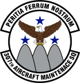 307th Aircraft Maintenance Squadron, US Air Force1.png