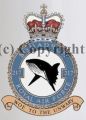 No 217 Squadron, Royal Air Force.jpg