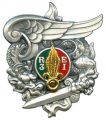 Parachute Company of the 3rd Foreign Infantry Regiment, French Army.jpg