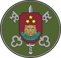 Students' Battalion, Latvian National Guard.jpg
