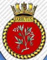 HMS Arbutus, Royal Navy.jpg