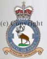 No 125 (Newfoundland) Squadron, Royal Air Force.jpg
