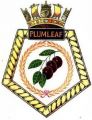 RFA Plumleaf, United Kingdom.jpg