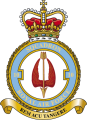 No 10 Squadron, Royal Air Force.png