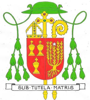 Arms of Mariano Simon Garriga