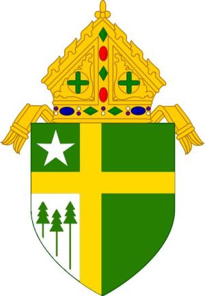 Arms (crest) of Diocese of Tyler