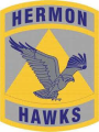 Hermon High School Junior Reserve Officers Training Corps, US Army.png
