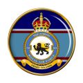 No 164 (Argentine-British) Squadron, Royal Air Force.jpg