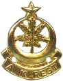 The Azad Kashmir Regiment, Pakistan Army.png