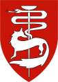 Southern Command Medical, Israel Defence Forces.png