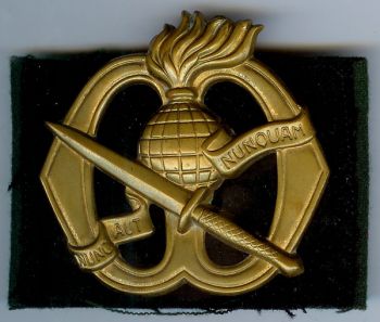 Beret Badge of the Commando Troops Corps, Netherlands Army