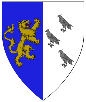 Arms of Darren Wyngaard