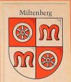 Miltenberg.pan.jpg