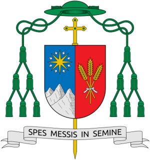 Arms of Roberto Farinella