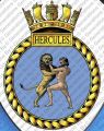 HMS Hercules, Royal Navy.jpg