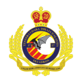 No 17 Squadron, Royal Malaysian Air Force.png