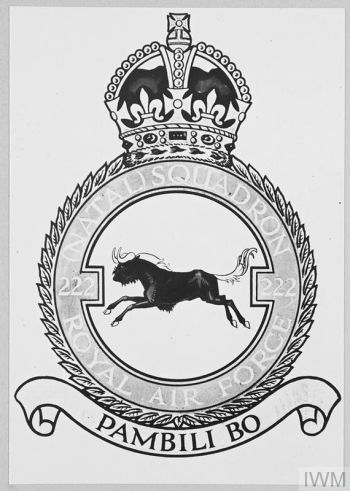 Coat of arms (crest) of the No 222 (Natal) Squadron, Royal Air Force