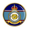 No 252 Squadron, Royal Air Force.jpg