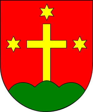 Arms of Josef Hanel