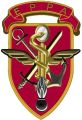 Paramedical Personnel School of the Armed Forces, France.jpg