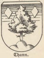 Wappen von Tann/Arms of Tann