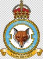 No 12 Squadron, Royal Air Force1.jpg