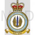 Handling Squadron, Royal Air Force.jpg