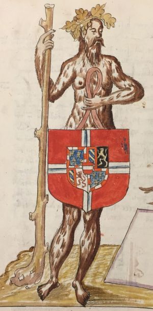 Arms of David van Bourgondië