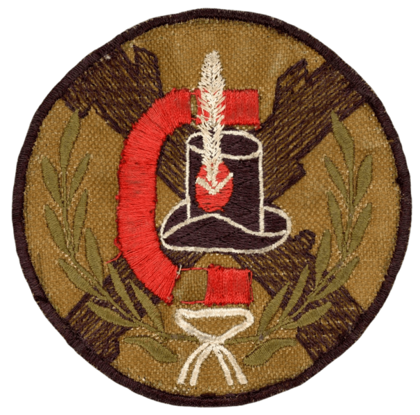 File:C Company, Infantry Regiment No 1 Patricios, Argentine Army.png