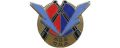 408th Anti-Aircraft Artillery Regiment, French Army.jpg